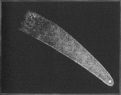 THE WORLD, ACCORDING TO COSMOS