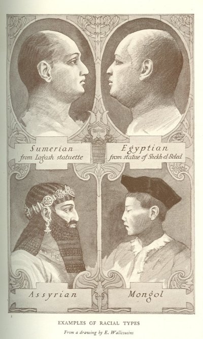 EXAMPLES OF RACIAL TYPES<br> From a drawing by E. Wallcousins