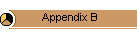 Appendix B